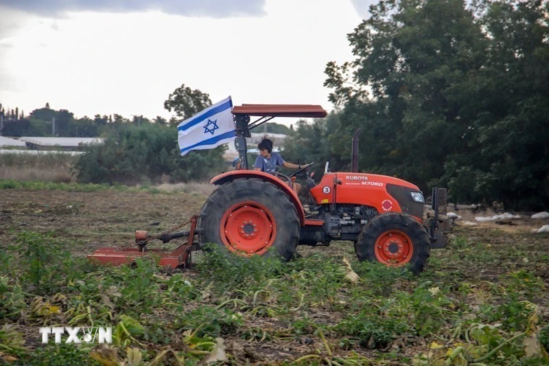 Một nhân viên tình nguyện lái máy cày tại một trang trại miền Trung Israel. (Ảnh: Vũ Hội/TTXVN)