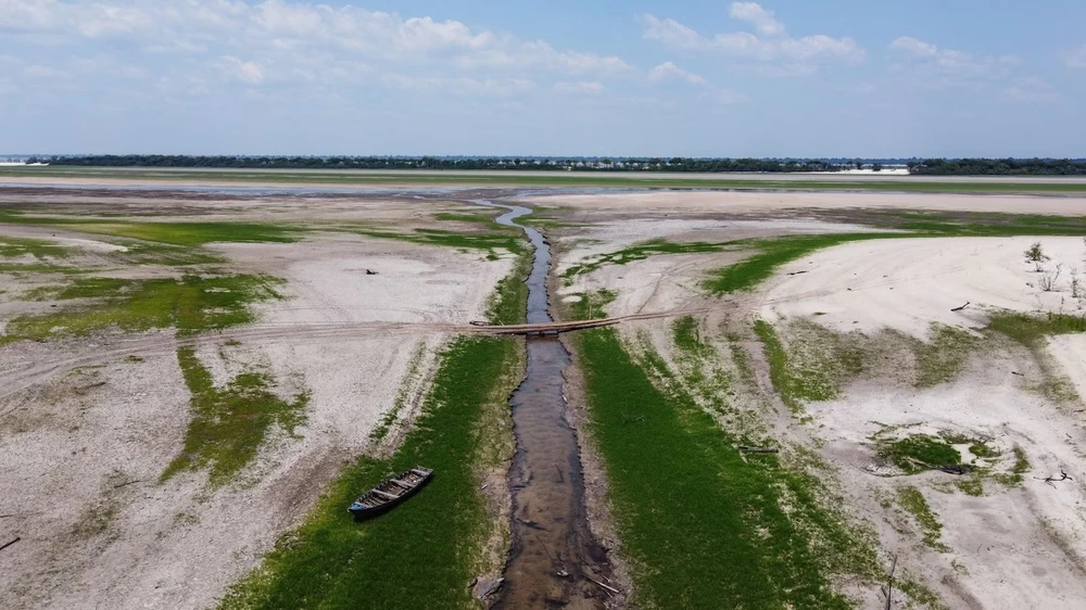 Sông Rio Negro - một nhánh của sông Amazon - cạn trơ đáy do hạn hán. (Nguồn: EPA-EFE)