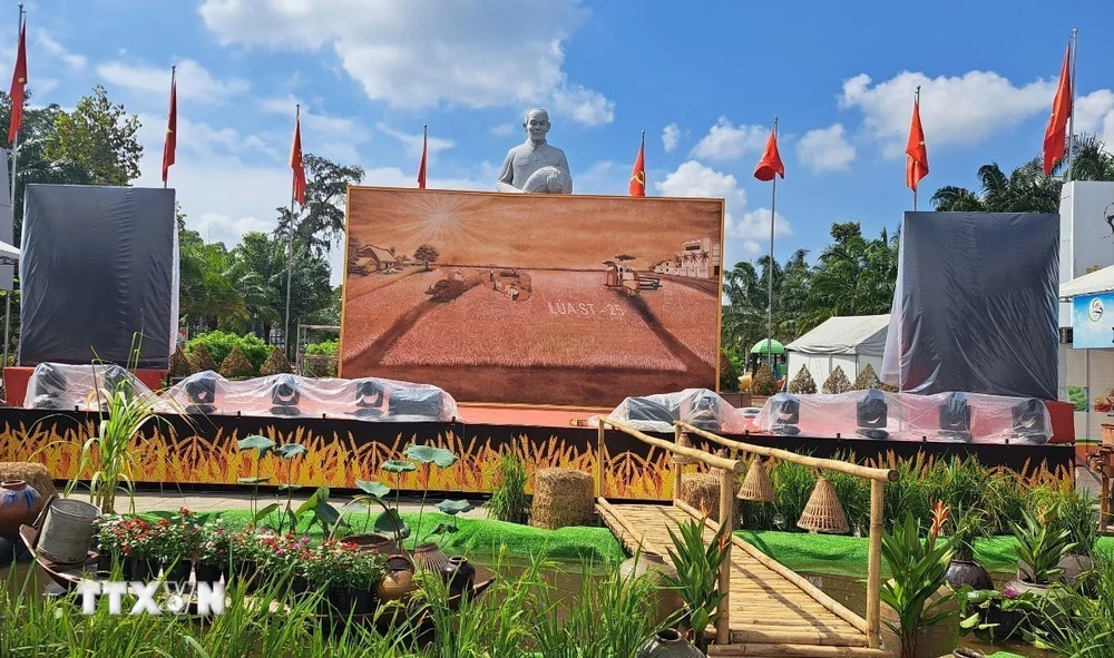 Bức tranh lớn nhất Việt Nam được làm từ gạo ST tại Sóc Trăng. (Ảnh: Tuấn Phi/TTXVN)