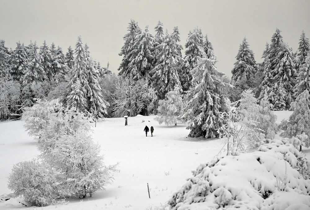 Tuyết phủ trắng xóa trên núi Kahler Asten ở gần Winterberg, Đức, ngày 1/12/2023. (Ảnh: AFP/TTXVN)