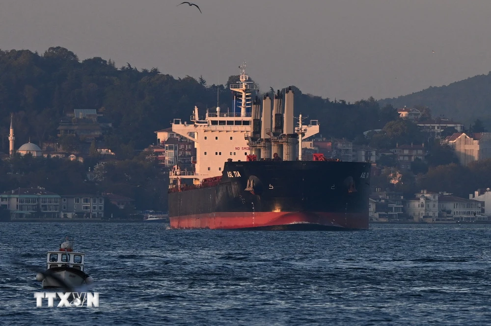 Tàu chở hàng di chuyển qua Eo biển Bosphorus ở Istanbul, Thổ Nhĩ Kỳ. (Ảnh: AFP/TTXVN)