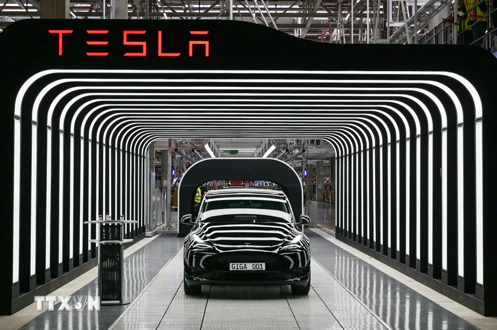 Mẫu xe điện Model Y của Tesla. (Ảnh: AFP/TTXVN)