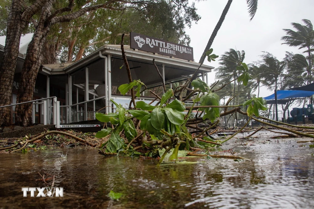 Cây cối gãy đổ do bão Jasper tại bang Queensland, Australia ngày 13/12/2023. (Ảnh: AFP/TTXVN)