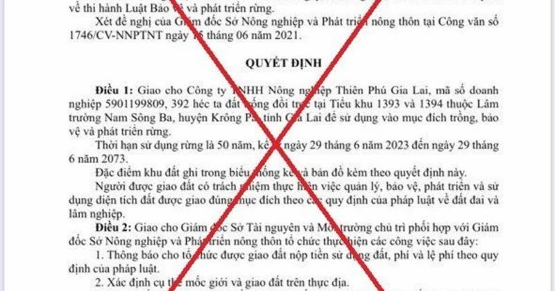 Quyết định số 1372 được xác định là giả mạo. (Nguồn: Tiền phong)