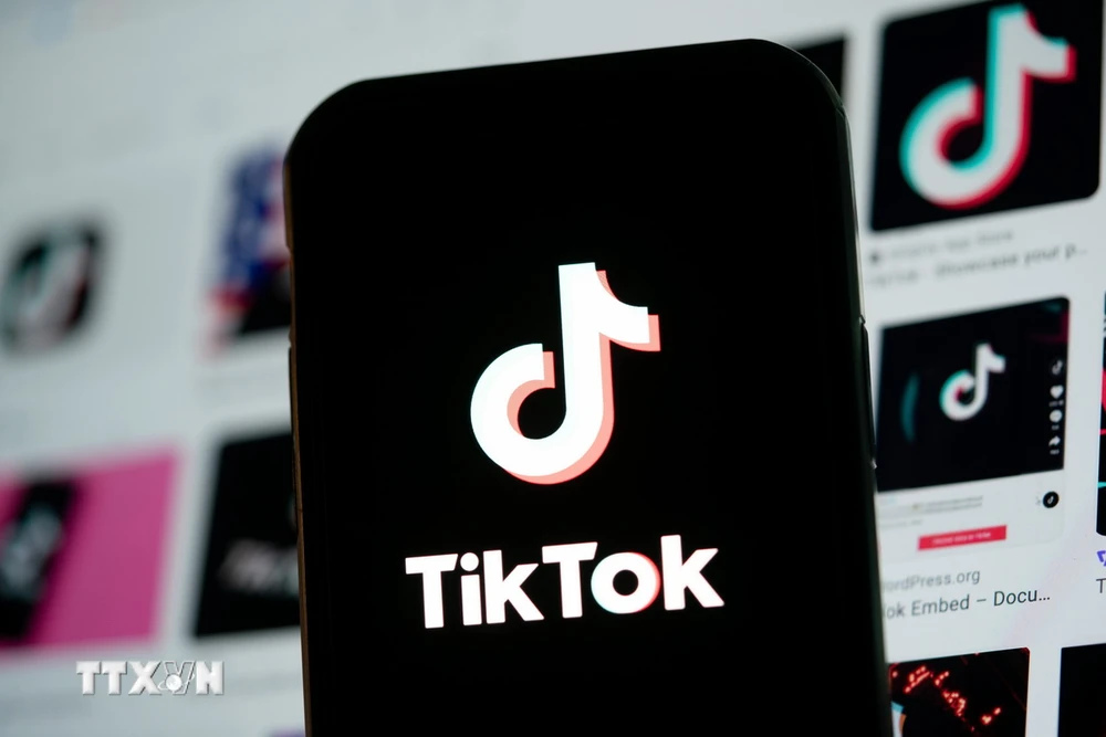 TikTok 'cầu cứu' cộng đồng mạng trước khả năng bị cấm tại Mỹ- Ảnh 1.