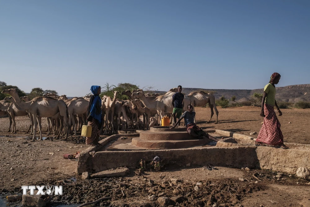 Người dân lấy nước sinh hoạt tại giếng ở El Gel, Ethiopia ngày 12/1/2023. (Ảnh: AFP/TTXVN)