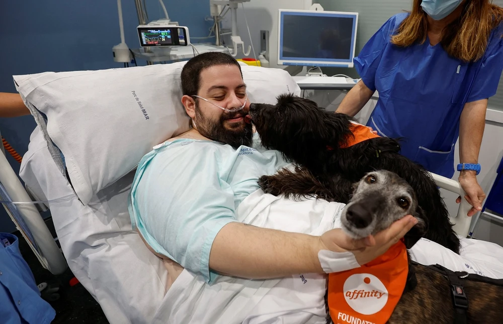 Những chú chó trị liệu tới thăm một bệnh nhân tại bệnh viện del Mar ở Barcelona, Tây Ban Nha. (Ảnh: Reuters)