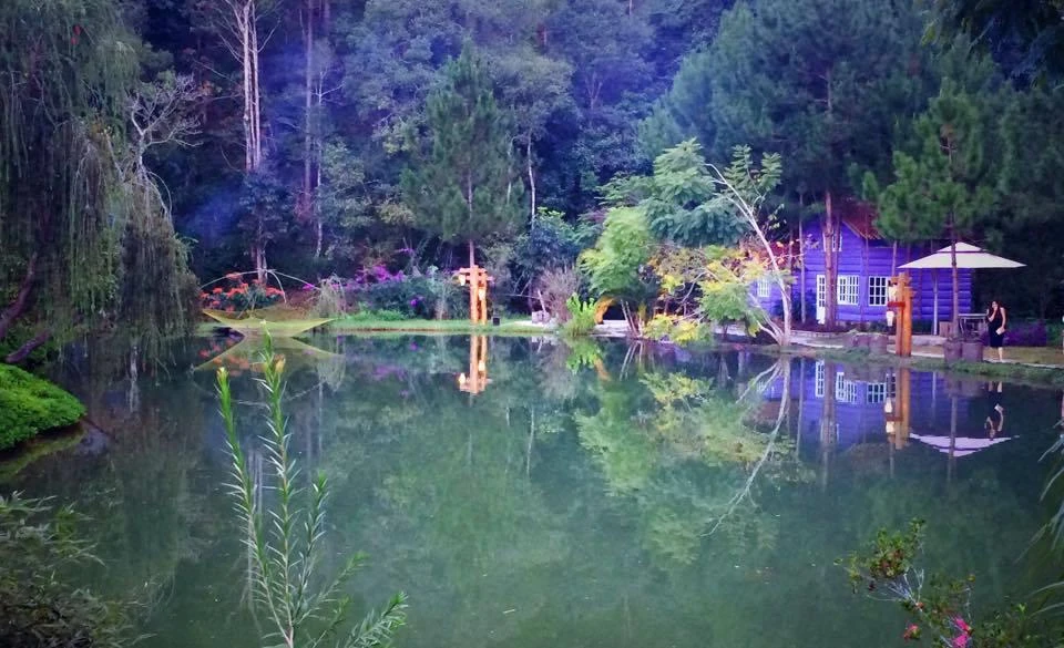 Khu du lịch Ma rừng lữ quán ở Đà Lạt hấp dẫn du khách nhờ không gian xanh và không khí trong lành. (Ảnh: PV/Vietnam+)