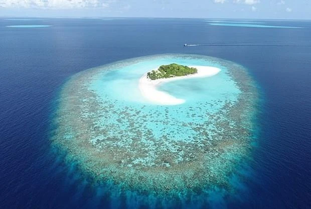 Đảo san hô ở Maldives. (Nguồn: dailymail.co.uk)