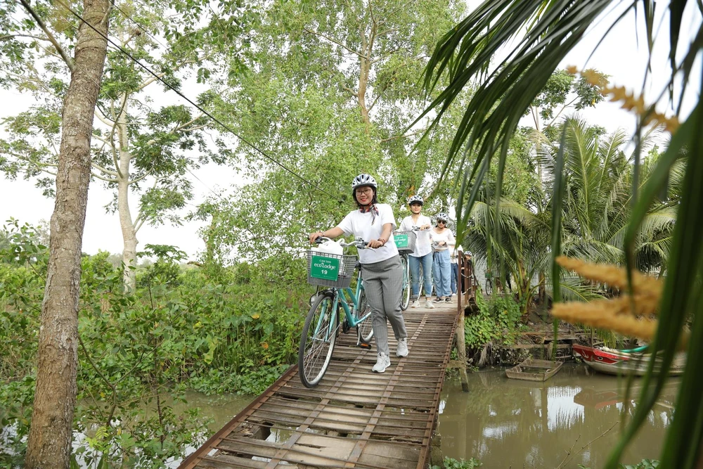 Du khách đạp xe trải nghiệm miệt vườn Cần Thơ. (Ảnh: Mai Mai/Vietnam+)