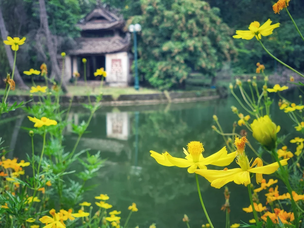 Du lịch Việt trong 6 tháng cuối năm liệu có cơ hội khởi sắc? (Ảnh minh họa: Mai Mai/Vietnam+)