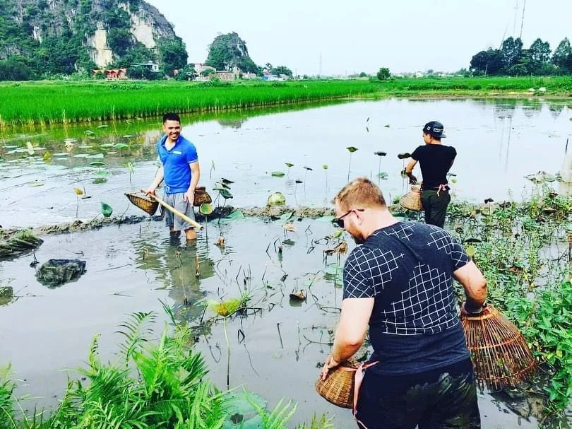 Du khách Mỹ trải nghiệm úp nơm bắt cá ở Ninh Bình. (Ảnh: Quang Hải/Vietnam+)