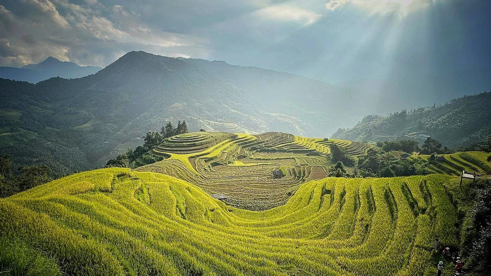 Ruộng Bậc Thang Núi Nông Thôn - Ảnh miễn phí trên Pixabay - Pixabay