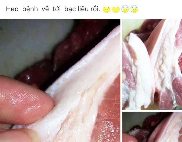 Trước diễn biến phức tạp dịch tả lợn châu Phi, có thông tin cho rằng thịt lợn bệnh đã về tới Bạc Liêu. Nội dung được đăng tải trên Facebook “Heo (lợn) bệnh về tới Bạc Liêu rồi.” Thông tin này thật hay giả?
