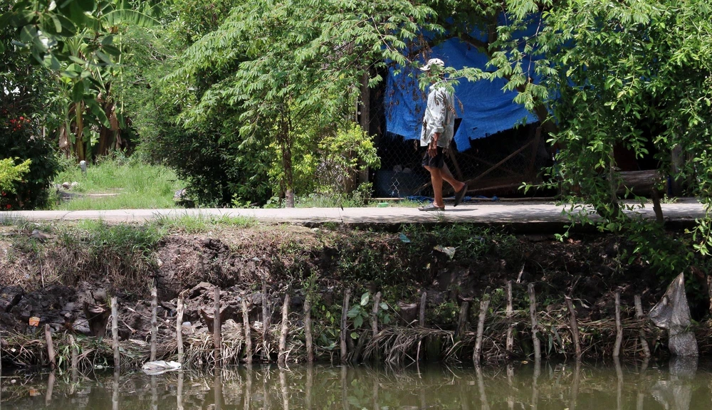 Bờ sông thuộc địa bàn xã Tây Yên, huyện An Biên, bị sạt lở nghiêm trọng. (Ảnh: Lê Sen/TTXVN)