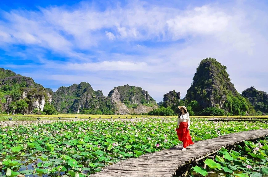 Các mô hình khởi nghiệp ở nông thôn