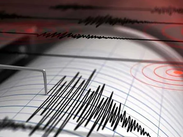 Xảy ra động đất mạnh ở Philippines và Indonesia, không có cảnh báo sóng thần- Ảnh 1.