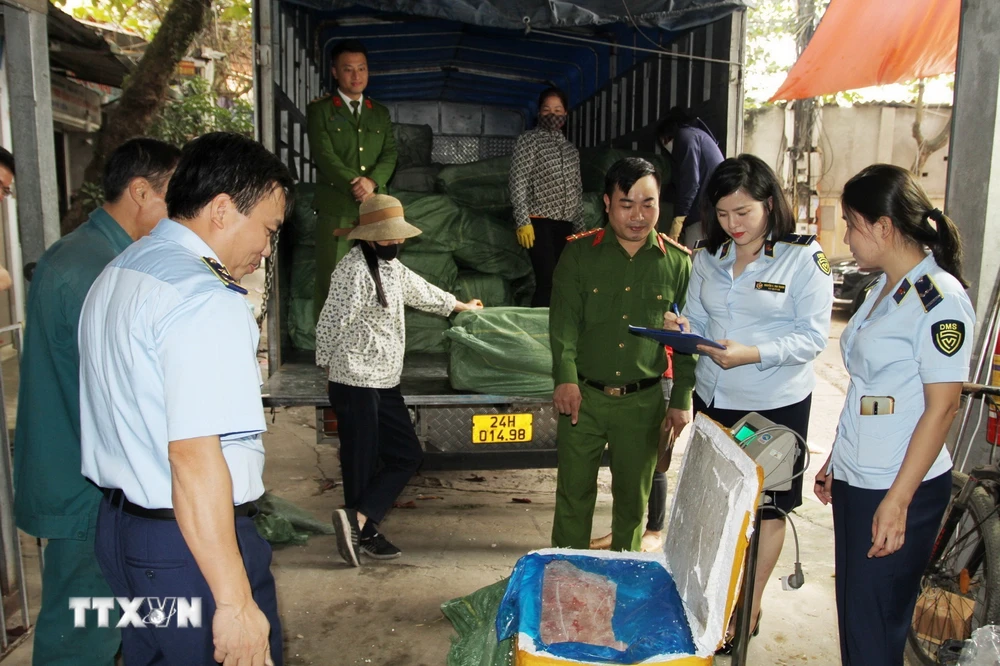 Lực lượng chức năng bắt giữ 10 tấn nầm lợn không xác định được nguồn gốc xuất xứ và không có hóa đơn, chứng từ. (Ảnh: TTXVN phát)