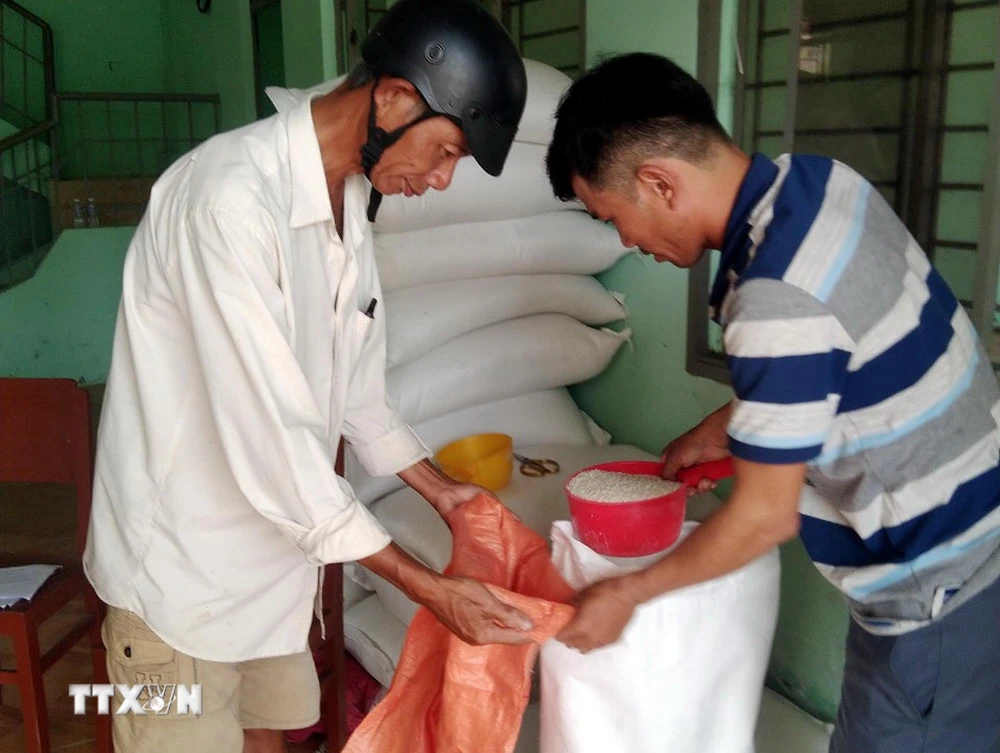 Cấp phát gạo của Chính phủ hỗ trợ hô nghèo tại huyện Mỹ Tú, tỉnh Sóc Trăng. (Ảnh: Trung Hiếu/TTXVN)