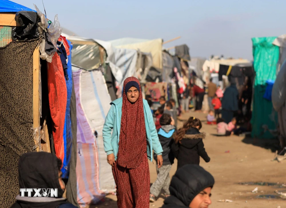Người tị nạn Palestine tại một trại tạm ở thành phố Rafah, Dải Gaza ngày 26/1/2024. (Ảnh: THX/TTXVN)