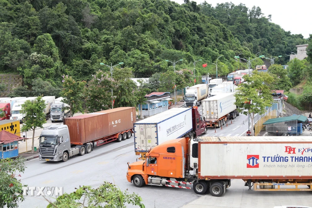 Hoạt động xuất nhập khẩu sôi động tại Cửa khẩu Quốc tế Hữu Nghị, tỉnh Lạng Sơn. (Ảnh: Quang Duy/TTXVN)