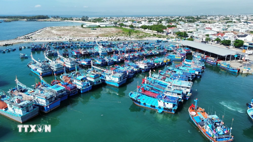 Đội tàu cá khai thác xa bờ cập cảng cá Mỹ Tân ở xã Thanh Hải, Ninh Hải, Ninh Thuận. (Ảnh: Nguyễn Thành/TTXVN)