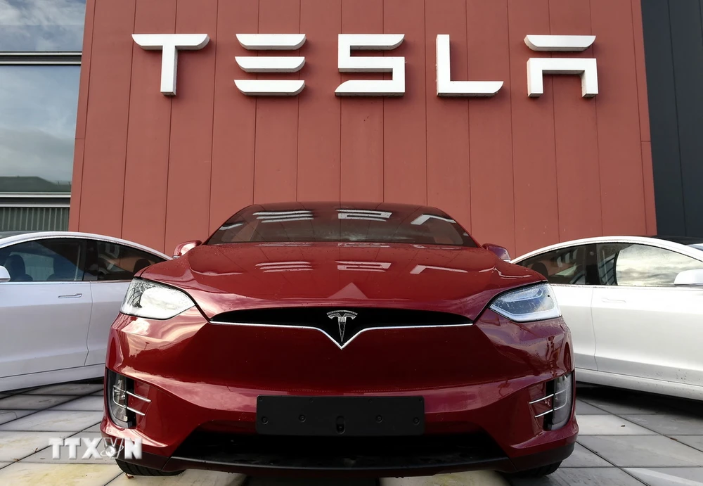 Các mẫu xe tại phòng trưng bày của Tesla ở Amsterdam, Hà Lan. (Ảnh: AFP/TTXVN)