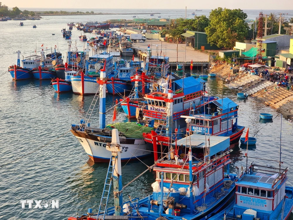 Nhiều địa phương có biển khu vực phía Nam đang ráo riết mở cao điểm chống khai thác hải sản bất hợp pháp. (Ảnh: Nguyễn Thành/TTXVN)