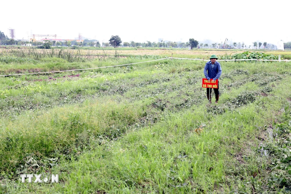 Thực hiện thu hồi đất để triển khai xây dựng điểm dân cư mới. (Ảnh: Mạnh Tú/TTXVN)