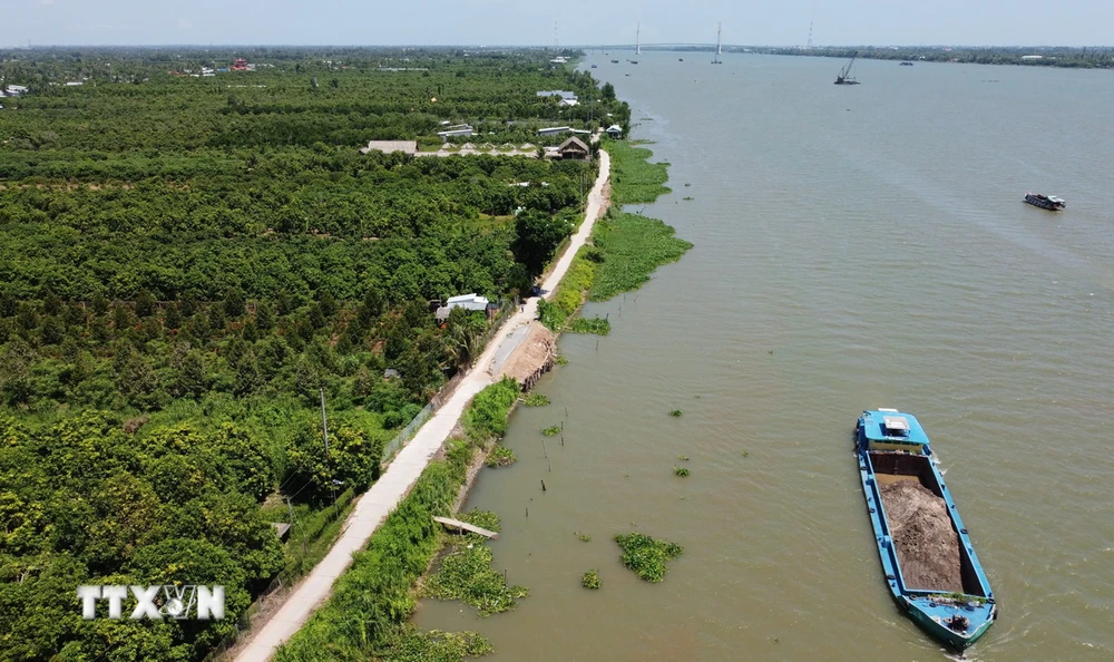 Sụt lún, sạt lở 'tấn công' sát vào đường đê bao cồn Ông, xã Tân Khánh Trung, huyện Lấp Vò. (Ảnh: Nhựt An/TTXVN)