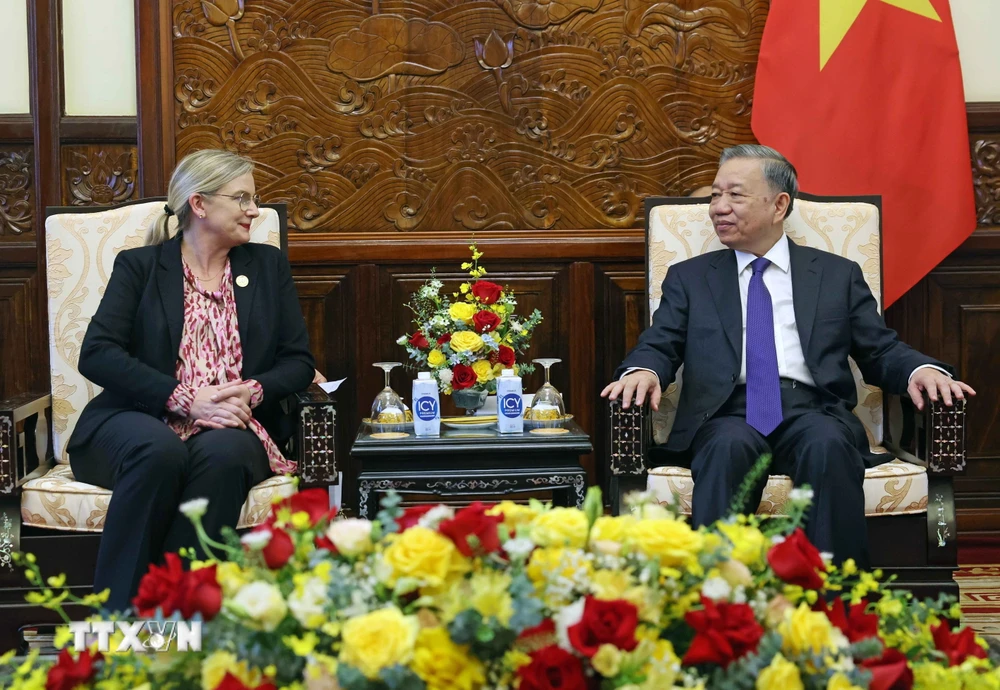 Chủ tịch nước Tô Lâm tiếp Đại sứ Thụy Điển Ann Mawe đến chào từ biệt. (Ảnh: Nhan Sáng/TTXVN)