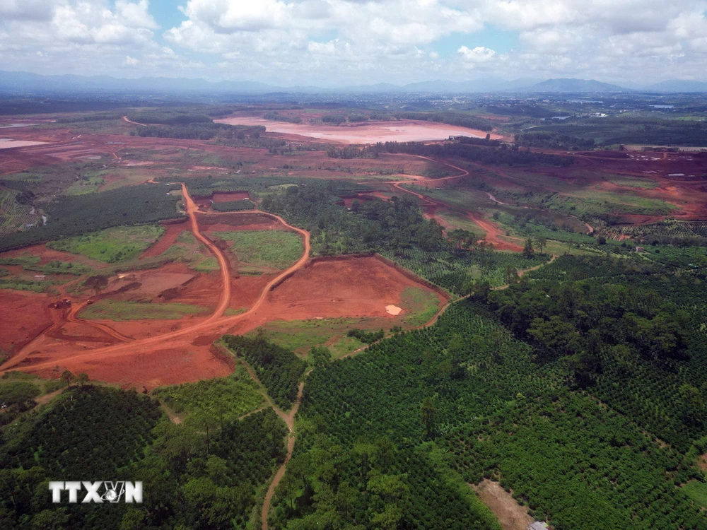 Diện tích hơn 30ha tỉnh Lâm Đồng giao cho 2 doanh nghiệp thuê để trồng cây nay phải thu hồi để khai thác quặng bauxite. (Ảnh: TTXVN phát)
