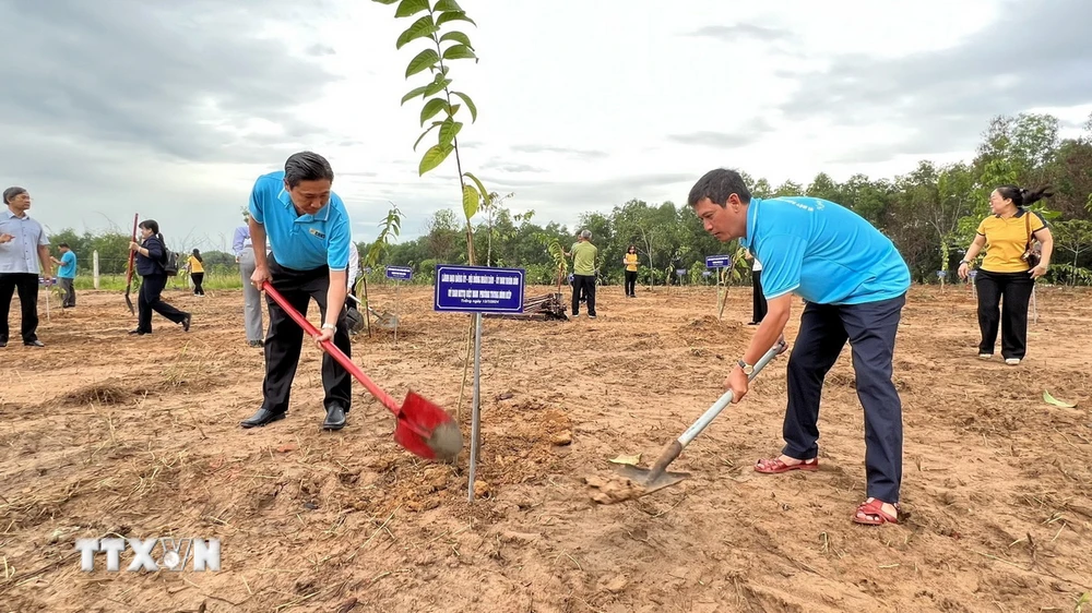 Lãnh đạo tỉnh và các tổ chức, cá nhân ra quân trồng 'Vườn cây đại đoàn kết' tại phường Tương Bình Hiệp, thành phố Thủ Dầu Một, tỉnh Bình Dương. (Ảnh: Dương Chí Tưởng/TTXVN)