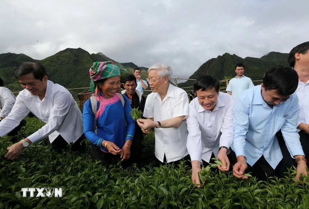 Tổng Bí thư Nguyễn Phú Trọng thăm mô hình thâm canh sản xuất chè VIETGAP ở Bản Cốc Phát , xã nông thôn mới Bản Bo, huyện Tam Đường, tỉnh Lai Châu (14/7/2016). (Ảnh: Trí Dũng/TTXVN)