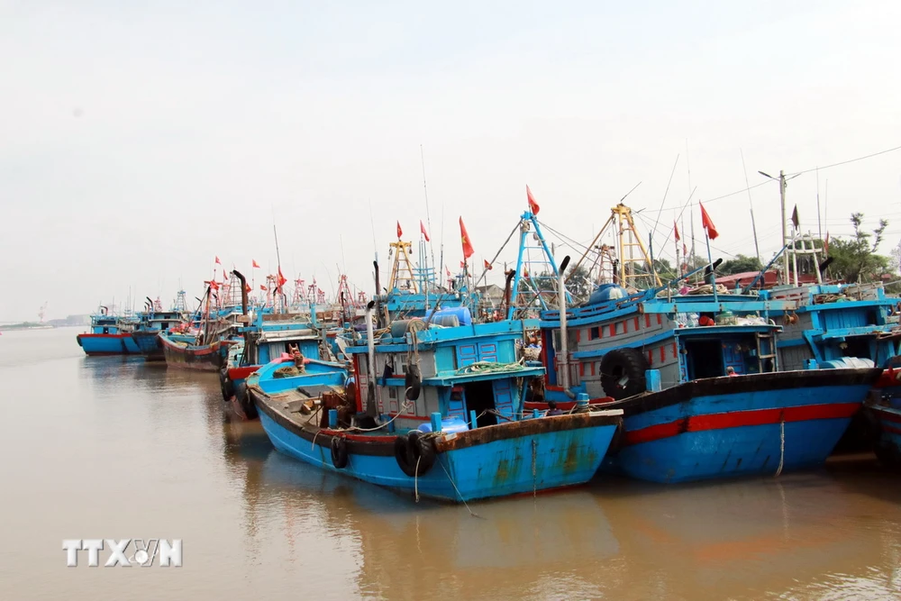 Khu neo đậu tàu thuyền tại cảng Thành Vui (Hải Hậu, Nam Định). (Ảnh: Nguyễn Lành/TTXVN)