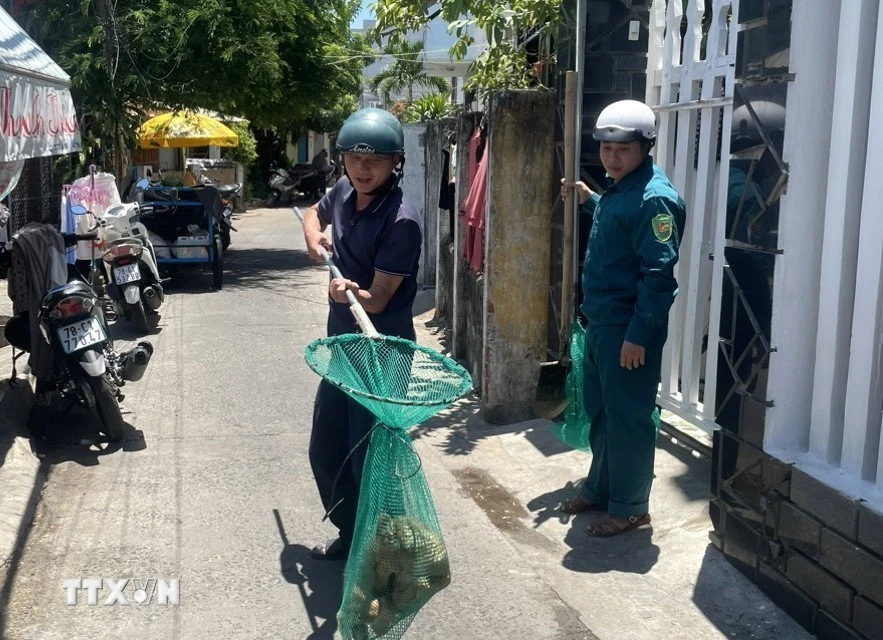 Phú Yên: Hàng chục người bị chó nghi dại cắn, 2 trường hợp tử vong- Ảnh 2.