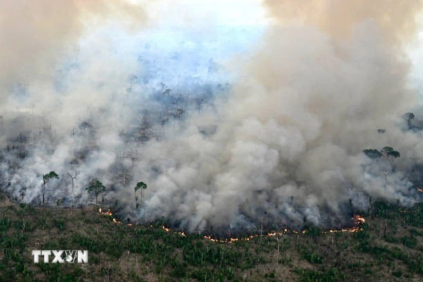 Khói lửa bốc lên từ đám cháy rừng ở Labrea, bang Amazonas, Brazil, ngày 20/8/2024. (Ảnh: Getty Images/TTXVN)