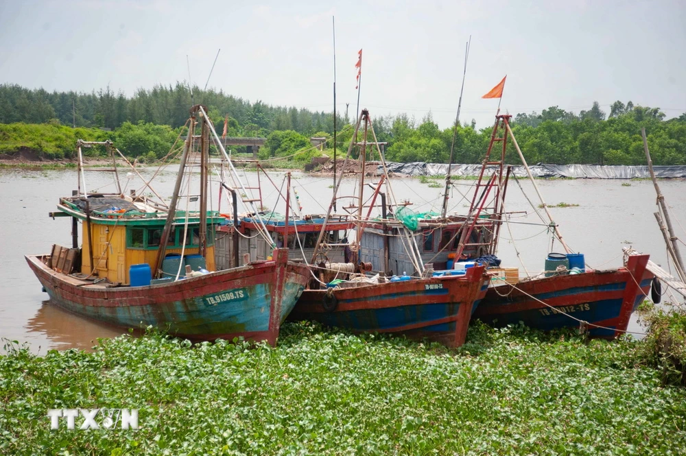 Tàu thuyền neo đậu tránh trú bão. (Ảnh minh họa: Vũ Quang/TTXVN)