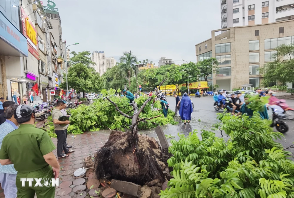 Các địa phương dồn sức ứng phó, hạn chế thiệt hại do cơn bão số 3- Ảnh 2.