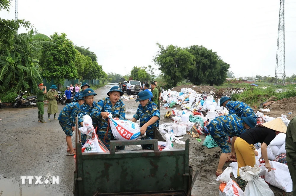 Lực lượng chức năng cùng người dân xã Đại Áng (huyện Thanh Trì, Hà Nội) chuẩn bị gần 10.000 bao tải cát, đóng cọc để gia cố đê tả sông Nhuệ đoạn qua Trạm bơm Hòa Bình. (Ảnh: TTXVN phát)