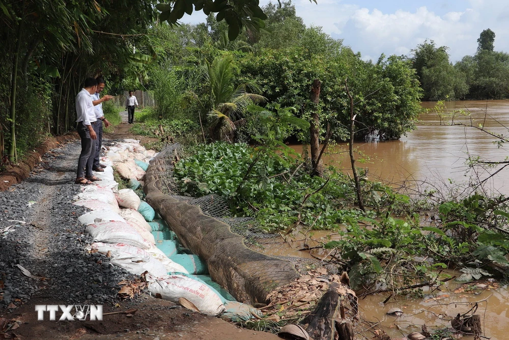 Đoạn sạt lở nghiêm trọng phía bờ Tây sông Cái Lân ở ấp 4, xã Tân Thanh, huyện Cái Bè, tỉnh Tiền Giang. (Ảnh: Minh Trí/TTXVN)