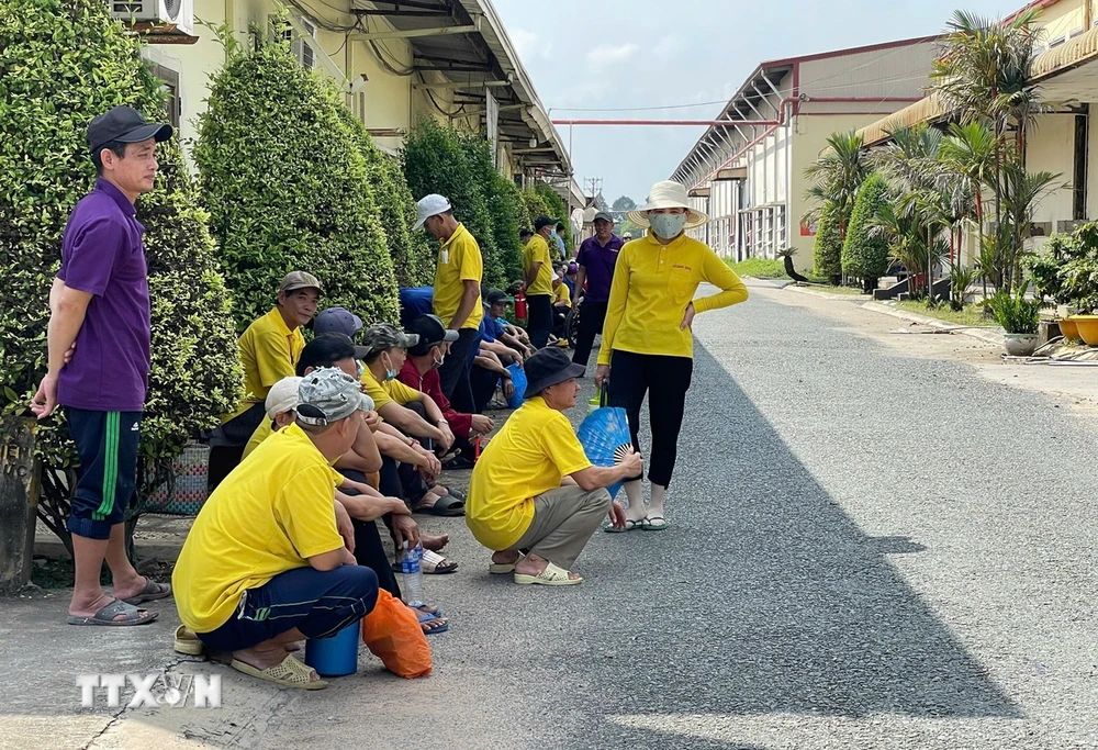 Hàng trăm công nhân tại Công ty Cổ phần Xuất nhập khẩu Hoàng Sinh, Bình Dương tụ tập trước khu văn phòng của công ty để yêu cầu được thanh toán lương, sau khi công ty tiếp tục nợ lương đến 3-4 tháng. (Ảnh: TTXVN phát)