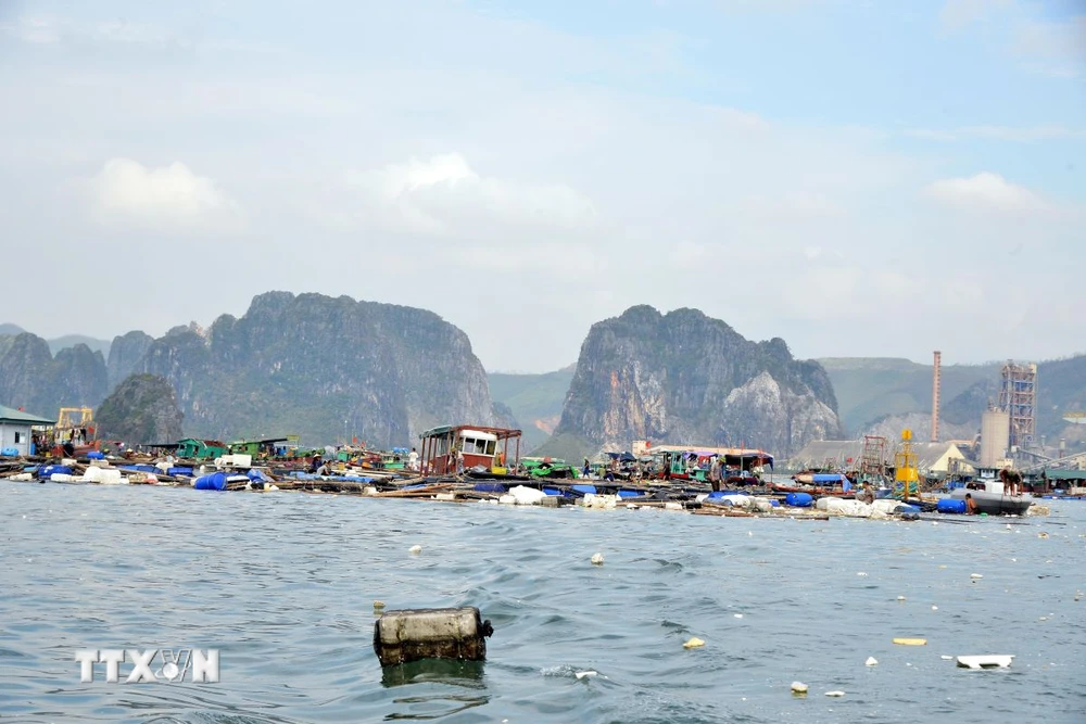 Các ngư dân xót xa khi tài sản hàng tỷ đồng tan hoang sau bão số 3. (Ảnh: Thanh Vân/TTXVN)