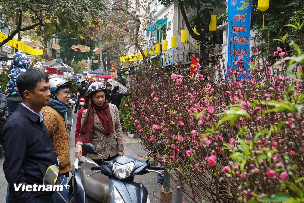 Chợ hoa Hàng Lược (Hà Nội) vẫn tấp nập những ngày cận Tết nhưng khách hàng chỉ ngắm chứ không mua. (Ảnh: Việt Anh/Vietnam+)