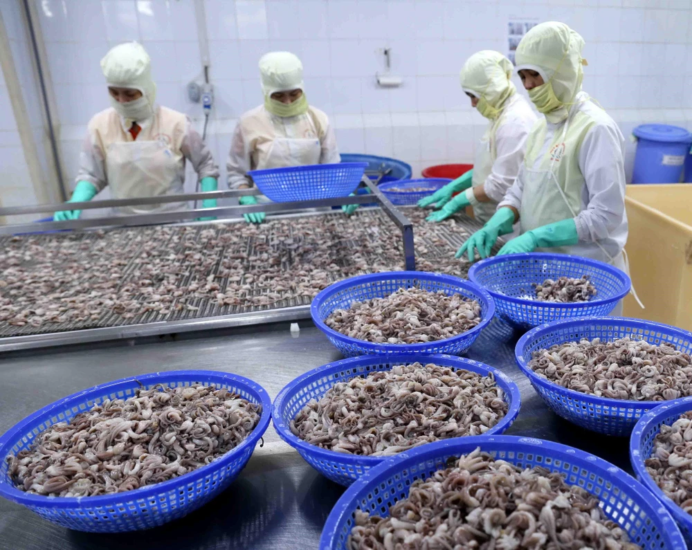 Thị trường EU đang là thị trường xuất khẩu thủy sản đứng thứ hai của Việt Nam, chiếm trọng 17% tổng giá trị xuất khẩu thủy sản. (Ảnh: TTXVN)