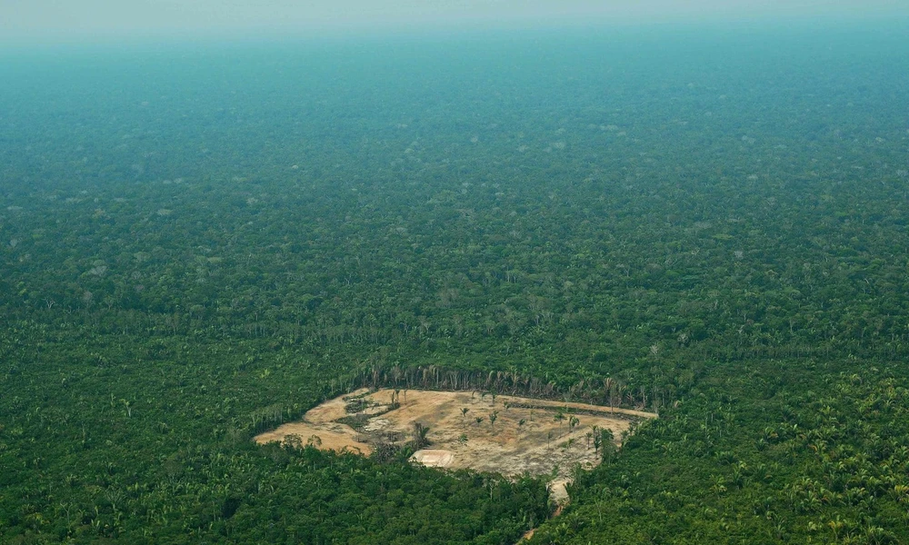 Một góc rừng Amazon. (Nguồn: AFP)