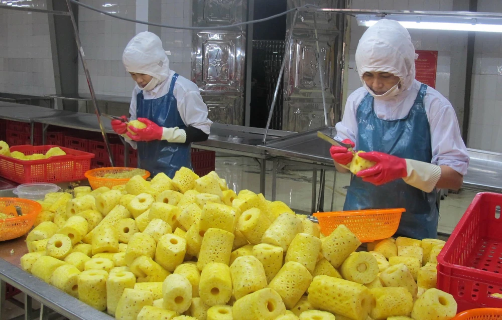 Chế biến dứa tại Công ty cổ phần Thực phẩm xuất khẩu Đồng Giao, thành phố Tam Điệp, Ninh Bình. (Ảnh: Thùy Dung/TTXVN)