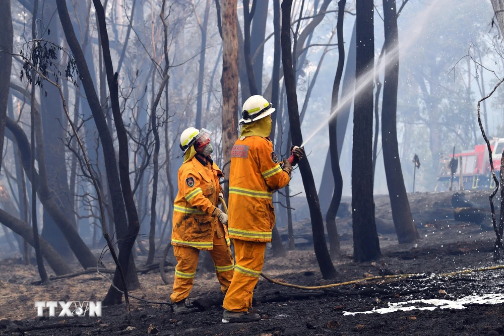 Lực lượng cứu hỏa nỗ lực dập lửa cháy rừng tại Dargan, Australia. (Ảnh: AFP/TTXVN)