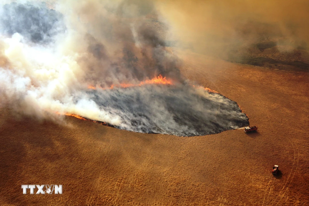 Khói lửa bốc lên từ đám cháy rừng tại Victoria, Australia. (Ảnh: THX/TTXVN)