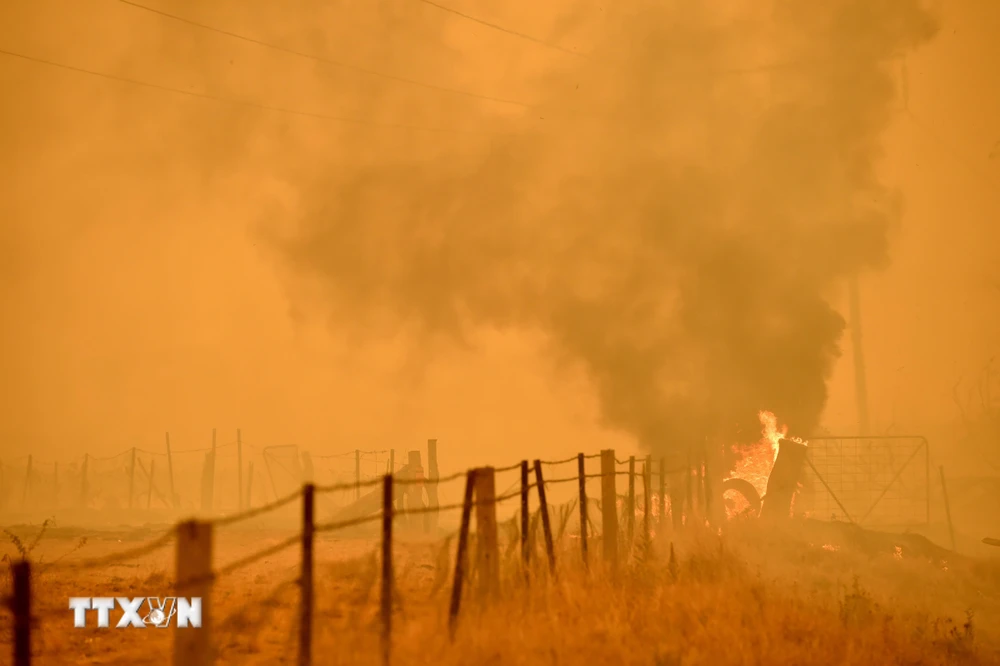 Khói bốc lên từ đám cháy rừng ở Bumbalong, Australia ngày 2/2/2020. (Ảnh: AFP/TTXVN)